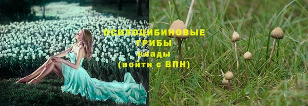 ешки Алексеевка