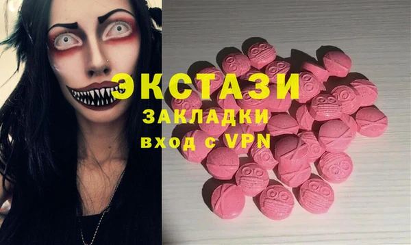 СК Алексин
