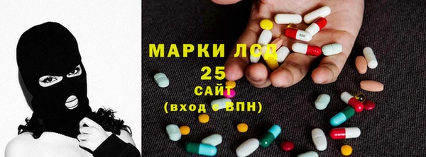 СК Алексин